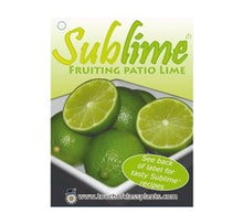 Citrus Sublime - online