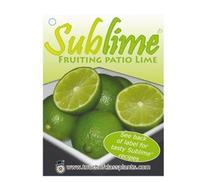 Citrus Sublime - online