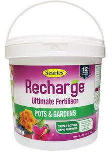 Searles Recharge Pots & Gardens
