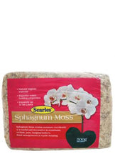 Searles Sphagnum Moss