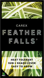 Carex Feather falls 'PBR' - Online