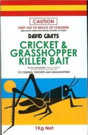 David Gray - Cricket & Grasshopper Bait