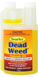 Searles Dead Weed